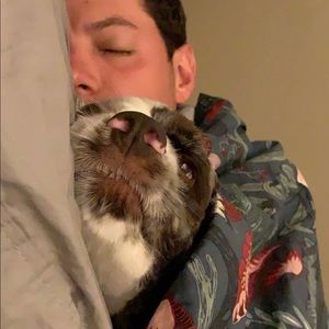 Meet your Posher, Daniel